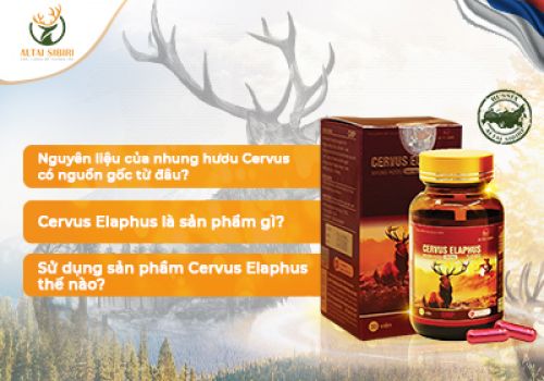 ⁉ GIẢI ĐÁP 7749 THẮC MẮC VỀ VIÊN NHUNG HƯƠU CERVUS