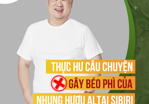THỰC HƯ TIN ĐỒN: NHUNG HƯƠU ALTAI SIBIRI GÂY BÉO PHÌ? 