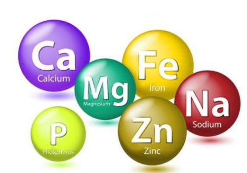 5 KHOÁNG CHẤT CẦN THIẾT BẢO VỆ TRẺ KHỎI SUY DINH DƯỠNG