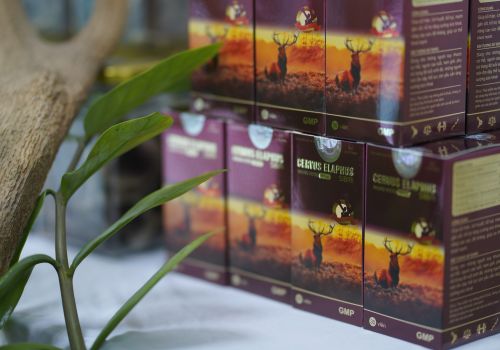 VIÊN NHUNG HƯƠU CERVUS CÓ GÌ MÀ LỢI HẠI ĐẾN THẾ?