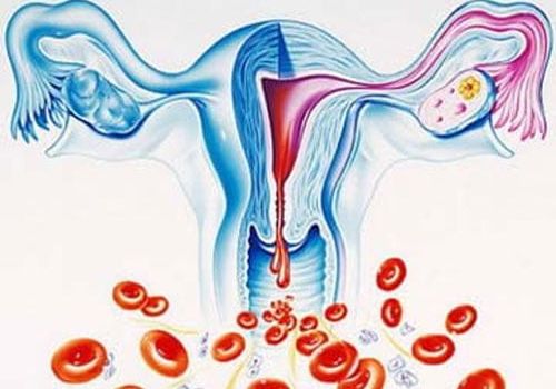 RONG KINH KÉO DÀI CÓ CẦN LO LẮNG?