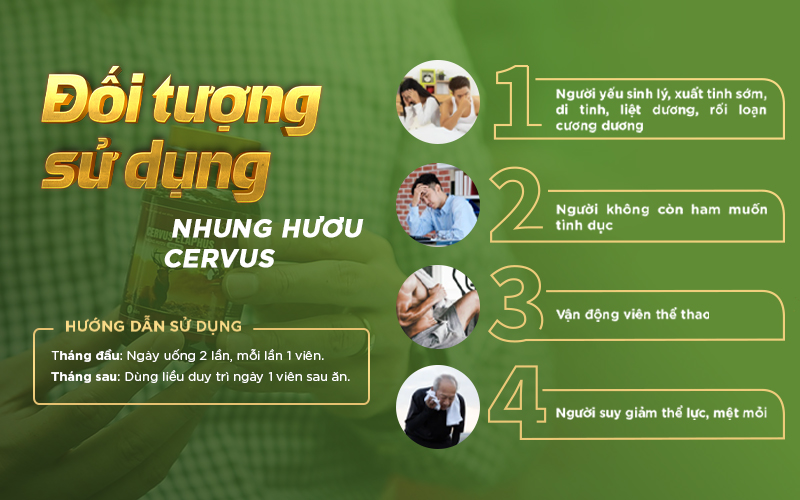 đối tượng sử dụng viên nhung hươu