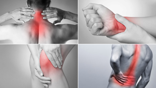 1103972134-w500-7441-1568884360