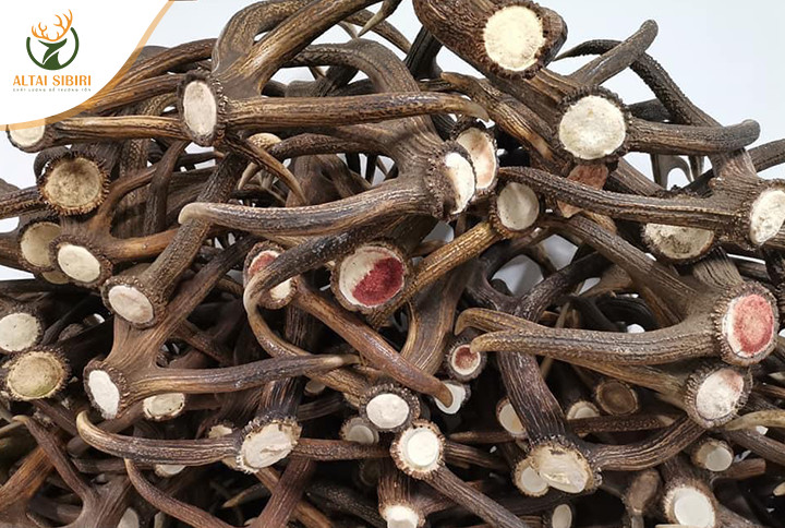 sừng nấu cao ban long