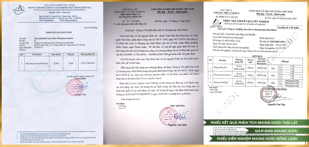 giấy phép nhung hươu tươi