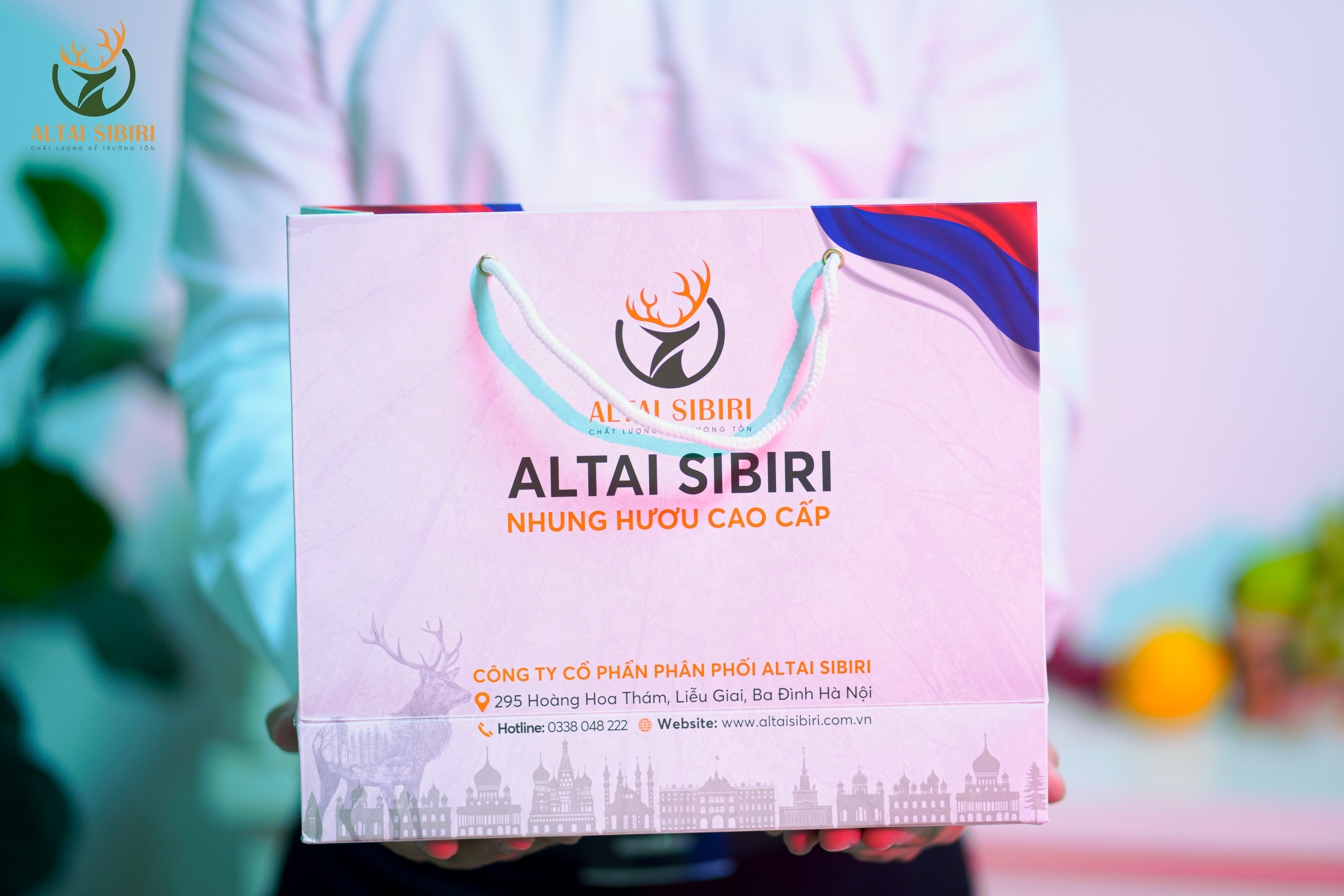 nhung hươu Nga cao cấp Sibiri