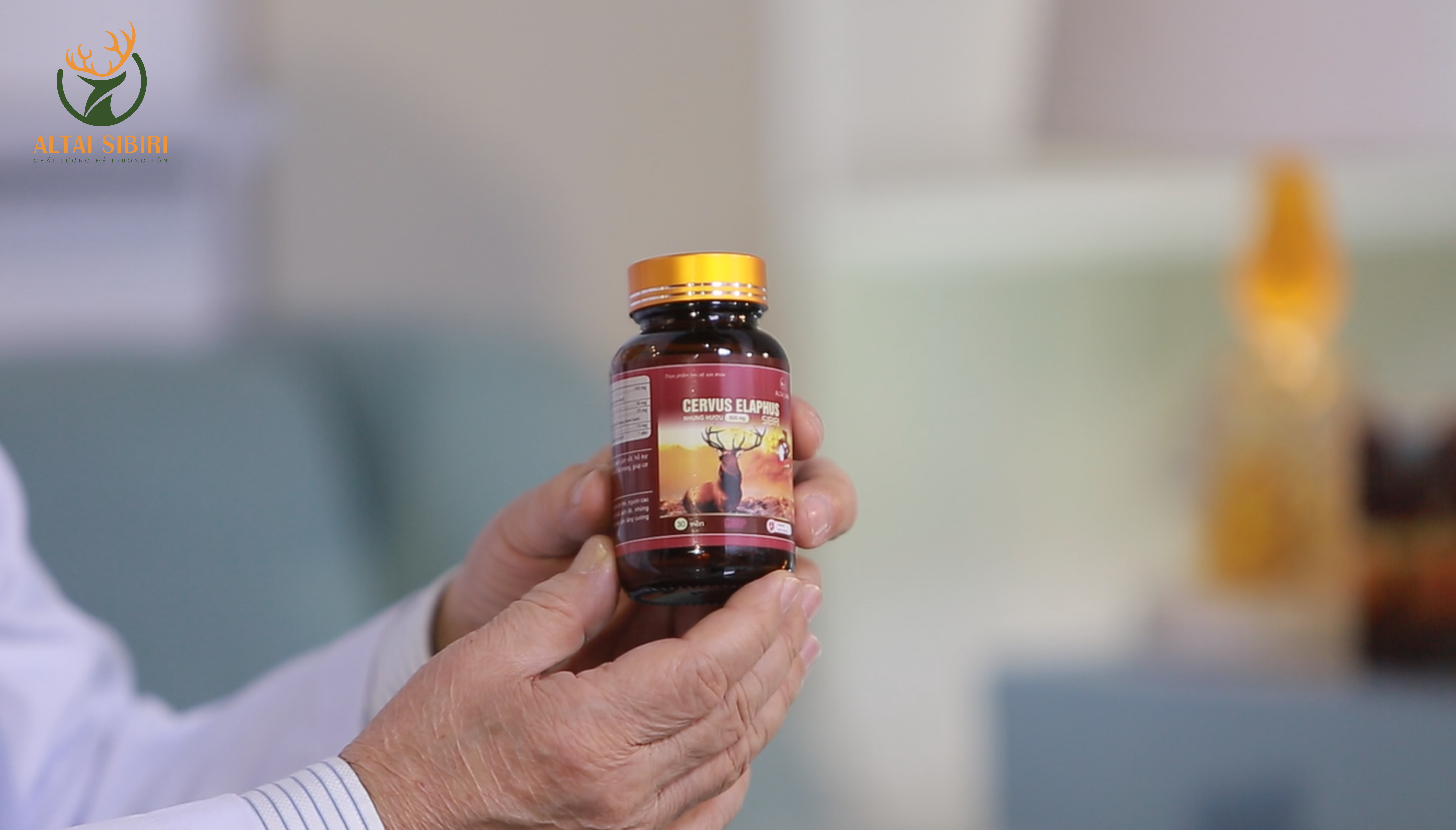 viên nhung hươu sibiri